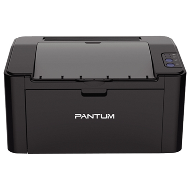 Pantum P2207