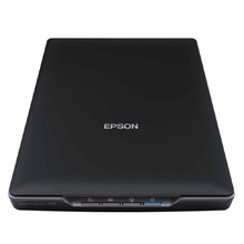 Epson Perfection V19